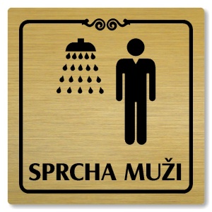 Sprcha muži, 100x100mm, zlatá, Texas